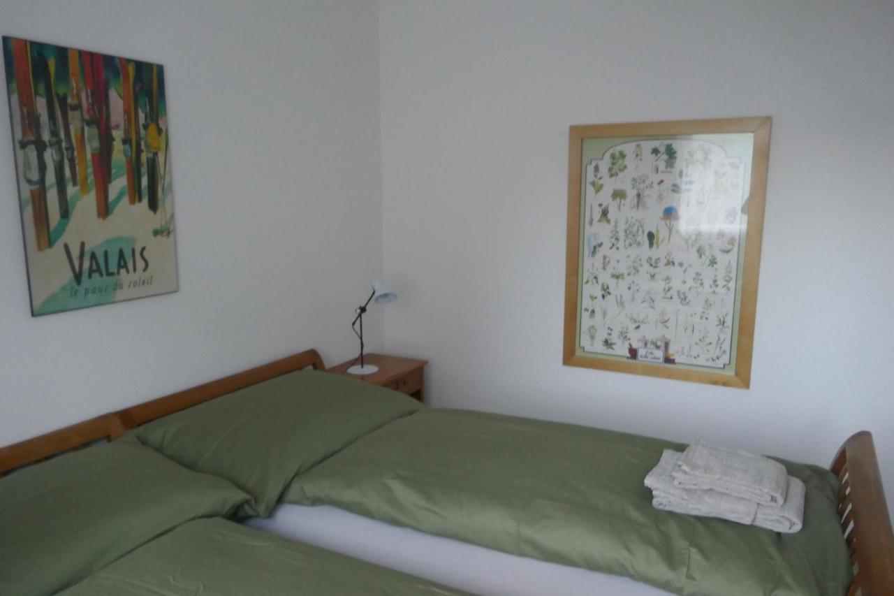 HausSilberblick Apartment Grächen Екстериор снимка