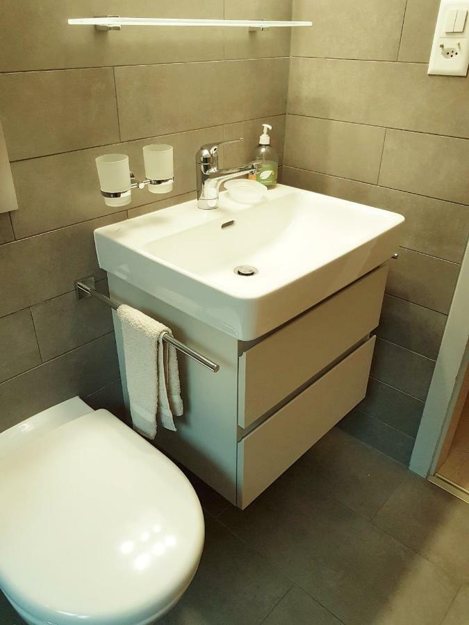 HausSilberblick Apartment Grächen Екстериор снимка